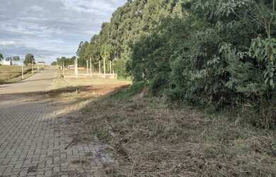 Imagem 2: Terreno com área verde à venda em Linha Santa Cruz