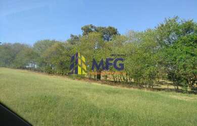 Imagem 15: Excelente Fazenda em Boituva