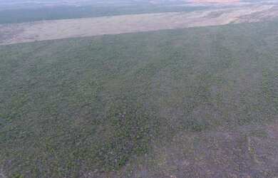 Imagem 11: Fazenda/Sítio/Chácara para venda com 310 ha em - São Gabriel - BA