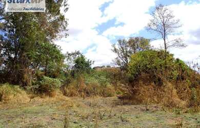 Imagem 12: Terreno, 2606 m² - venda por R$ 980.000,00 ou aluguel por R$ 6.000,00/mês - Granja Santa I