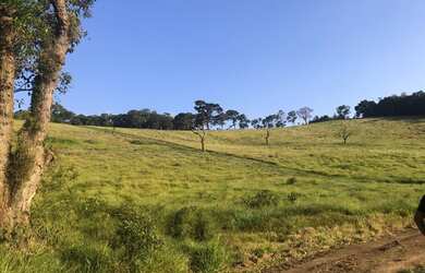 Imagem 6: Lote/Terreno para venda tem 500 metros quadrados