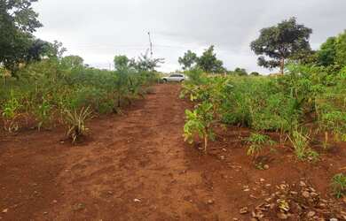 Imagem 6: Chacara jardim são jose