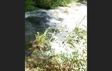 Imagem 3: Ótima fazenda à venda em São João Nepomuceno MG