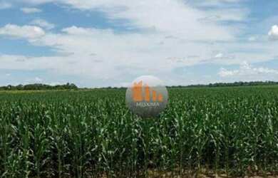 Imagem 10: Fazenda à venda, 249 alqueires por R$ 40.000.000 - Iaciara/Goiás