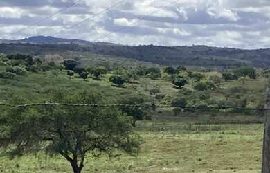 Imagem: Vendo Fazenda 66 hectares pronta