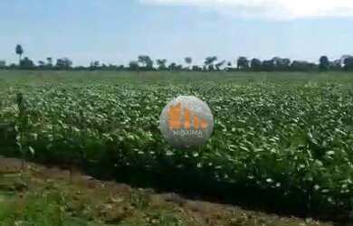 Imagem: A fazenda possui 12051600m² de Área e está localizado em