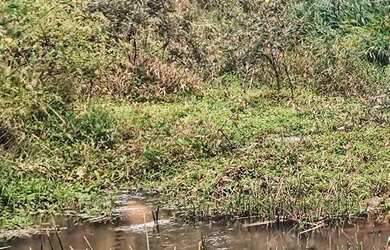 Imagem: Chácara com financiamento próprio em Betim - MG