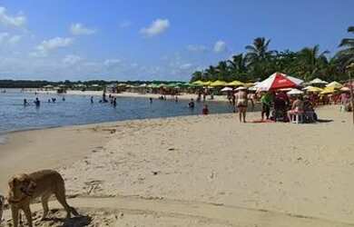 Imagem 7: Terreno 150 metros quadrados em Porto Sauípe - Entre Rios - BA