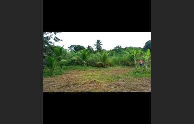 Imagem 5: Vendo chácara em São Cristóvão