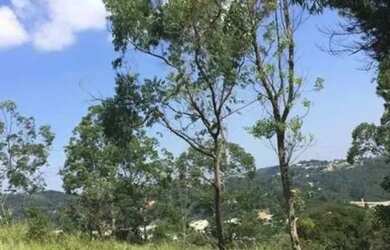 Imagem 4: AREA - CHÁCARA JAGUARI FAZENDINHA - SP