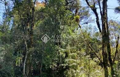 Imagem 2: TERRENO EM GRAMADO, PLANO NO BAIRRO CARNIEL