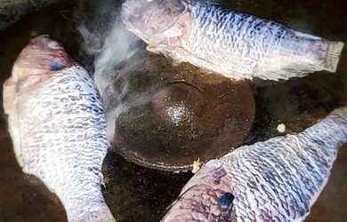 Imagem: A chácara possui 27.899m² de Área e está localizado em