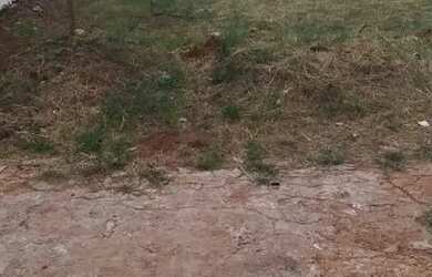 Imagem: O terreno possui 420m² de Área e está localizado em Custódio