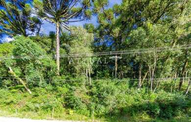 Imagem 9: TERRENO NA VILA SUZANA. 1.122m² de Área