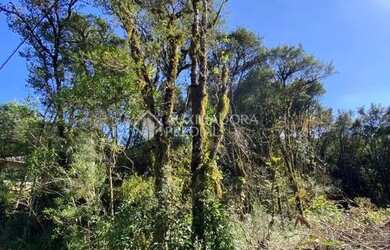 Imagem 3: TERRENO EM GRAMADO, PLANO NO BAIRRO CARNIEL