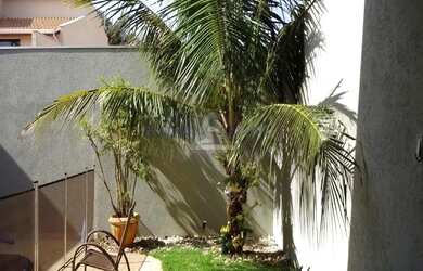 Imagem 13: Casa de Condominio em Bonfim Paulista - Bonfim Paulista