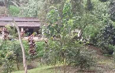 Imagem: A chácara possui 8.000m² de Área e está localizado em Campo