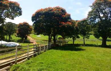Imagem: A fazenda possui 50m² de Área e está localizado em Capela
