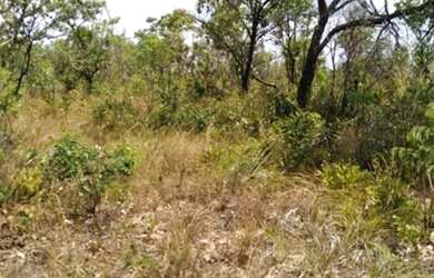 Imagem 4: 250 Alqs Rio Plana Varias Nascentes Região Mansinha TO