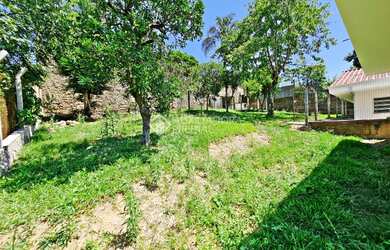 Imagem 3: NOVO HAMBURGO - Casa Padrão - Rondônia