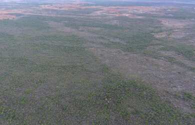 Imagem 9: Fazenda/Sítio/Chácara para venda com 310 ha em - São Gabriel - BA