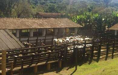 Imagem 10: Fazenda com 4 dormitórios à venda, 968000 m² por R$ 9.000.000,00 -...