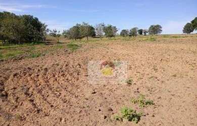 Imagem 16: Fazenda à venda, 560 Alqueires por R$ 56.000.000 - Penápolis/SP