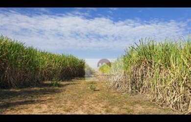 Imagem 6: Fazenda à venda, 560 Alqueires por R$ 56.000.000 - Penápolis/SP