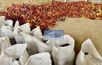 Imagem: A fazenda possui 18.200.000m² de Área e está localizado