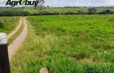 Imagem 4: Fazenda Arapoema to. 10m² de Área