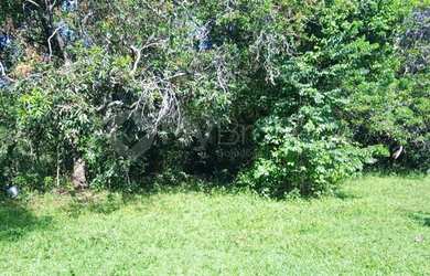 Imagem 6: Senador Canedo - Terreno Padrão - Estância Vargem Bonita