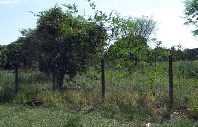 Imagem 2: Terreno à venda, 3000 m² por R$ 1.000.000,00 - Jardim Shangri-Lá -...