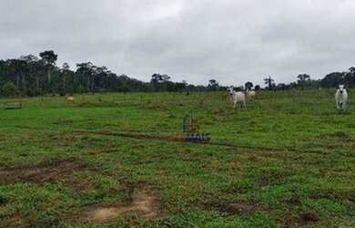 Imagem: A fazenda possui 10.696.400m² de Área e está localizado