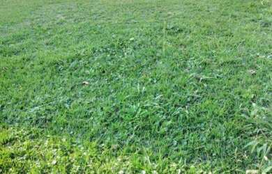 Imagem 4: Terreno à venda, 480 m² por R$ 980.000,00 - Alphaville - Santana de Parnaíba/SP