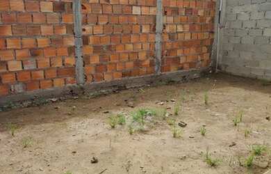 Imagem 8: Casa de condomínio no Malibu