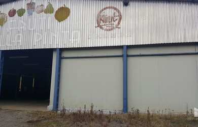 Imagem 6: Pinto Bandeira - Galpão/Depósito/Armazém - Zona Rural