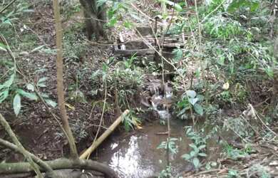 Imagem 3: Terreno 27ha na regiao de Santa Luzia terra de cultivo Varias opçoes