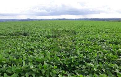 Imagem 1: Fazenda à venda, 2879800 m² por R$ 28.000.000,00 - São Domingos - Marmeleiro/PR