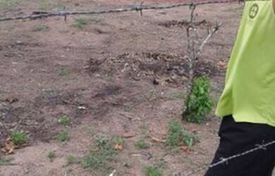 Imagem: O terreno possui 620m² de Área e está localizado em Castelo