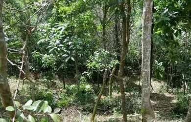 Imagem 2: Terreno / Lote 360m² - Siméria