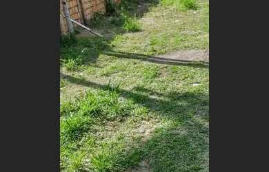 Imagem: O terreno está localizado em Cidade Nova, Manaus à venda por