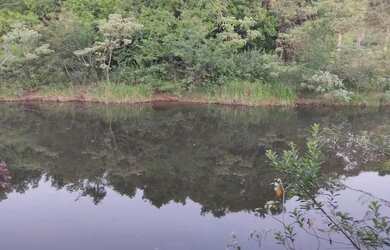 Imagem: A chácara possui 8.000m² de Área e está localizado em São