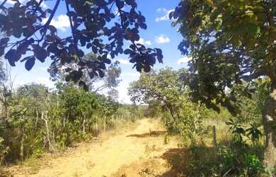 Imagem 6: Terreno Plano em Jaboticatubas