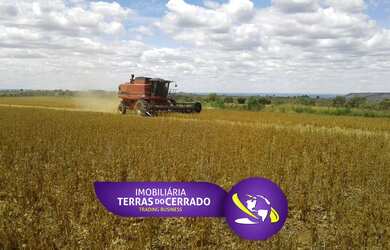 Imagem: A fazenda está localizado em Centro, Unaí à venda por R$17.000.000