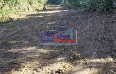 Imagem 15: VOCÊ E UM CAMPO INTEIRO DE POSSIBILIDADES - Fazendinhas 20.000 m² em...