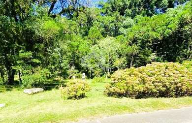 Imagem: O terreno possui 21.300m² de Área e está localizado em Mato