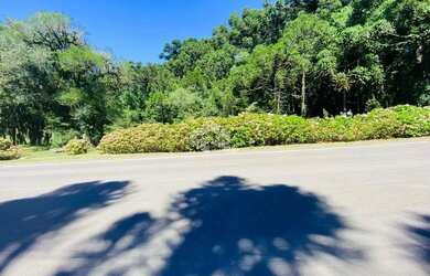 Imagem 3: A venda terreno de 21.299,70m² localizado no Parque dos Pinheiros em...