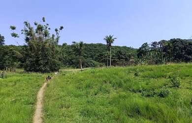 Imagem 6: Área de 75 mil m2 á venda na Ilha de Guaratiba - Rio de Janeiro - RJ