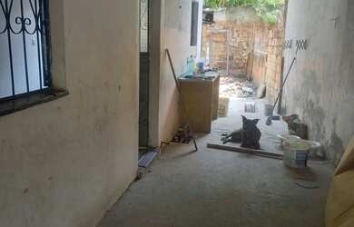 Imagem 7: Casa com comércio