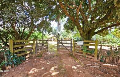 Imagem: A fazenda possui 20.851m² de Área e está localizado em Bela